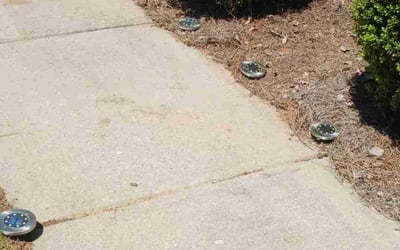 Photo of Andrea B.'s yard after getting landscaping in Ellenwood, GA