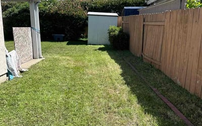 Photo of Donna M.'s yard after getting landscaping in Encinitas, CA