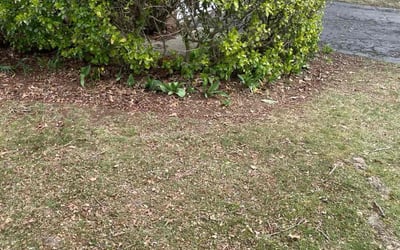 Photo of Christina A.'s yard after getting landscaping in Logan, OH
