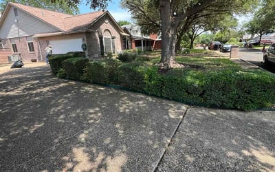 Photo of Gwendolyn L.'s yard after getting landscaping in San Antonio, TX
