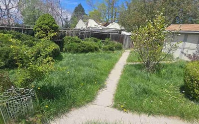 Photo of Jose A.'s yard after getting landscaping in Westminster, CO
