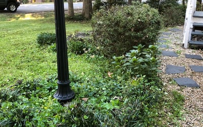 Photo of Matthew S.'s yard after getting landscaping in Studley, VA