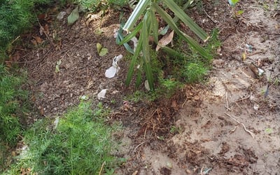 Photo of Julie S.'s yard after getting landscaping in Waverly, FL