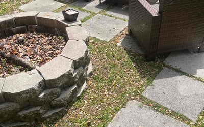 Photo of John M.'s yard after getting landscaping in Greensboro, FL