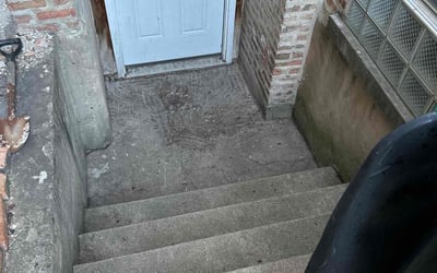 Photo of Judy M.'s yard after getting landscaping in Chicago, IL