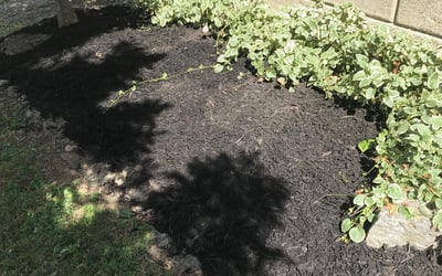 Photo of Felicia D.'s yard after getting landscaping in Okeana, OH
