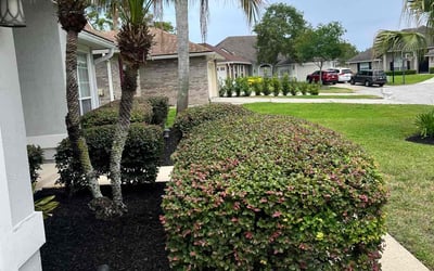 Photo of Lauren C.'s yard after getting landscaping in Jacksonville, FL