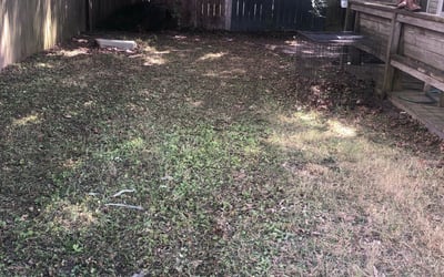 Photo of Patrick F.'s yard after getting landscaping in Poquoson, VA