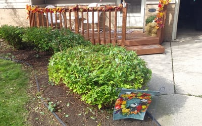 Photo of James A.'s yard after getting landscaping in Big Bend, WI