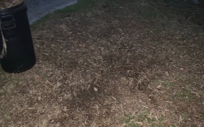 Photo of Elizabeth H.'s yard after getting landscaping in Bradenton Beach, FL