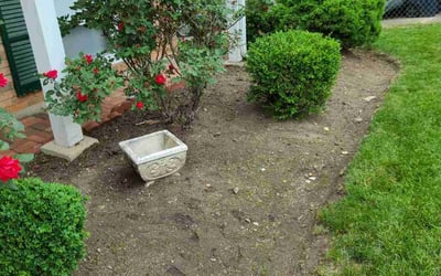 Photo of Adrian R.'s yard after getting landscaping in Capitol Heights, MD