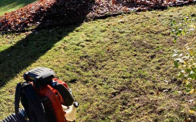 Photo of Lisa P.'s yard after getting landscaping in Rehoboth, MA
