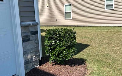 Photo of Eric R.'s yard after getting landscaping in Bunn, NC