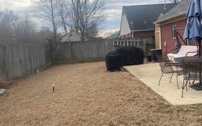 Photo of Cindy H.'s yard after getting landscaping in Somerville, TN