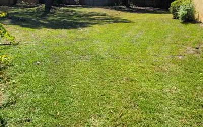 Photo of Christopher H.'s yard after getting landscaping in Navarre, FL