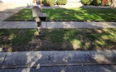 Photo of Mike H.'s yard after getting landscaping in Shelbyville, IN