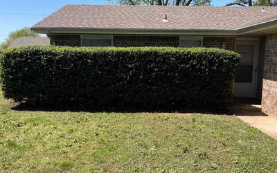 Photo of Jordan D.'s yard after getting landscaping in Noble, OK