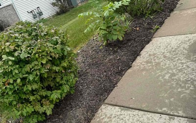 Photo of Zy'Aire K.'s yard after getting tree care in New Berlin, WI