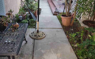 Photo of Tom B.'s yard after getting landscaping in Modesto, CA