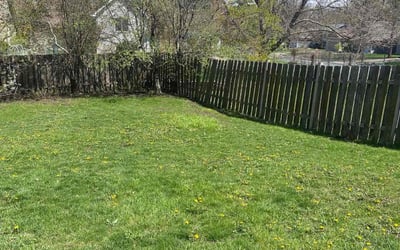 Photo of Rebecca M.'s yard after getting landscaping in Cologne, MN