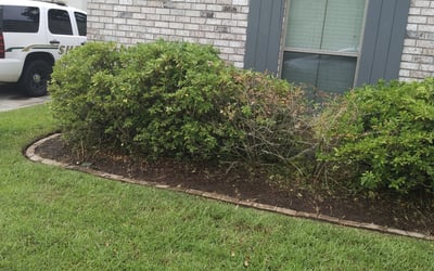 Photo of Jon B.'s yard after getting landscaping in Greensburg, LA