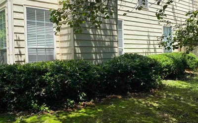 Photo of Laura P.'s yard after getting landscaping in Williamson, GA