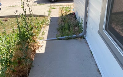 Photo of Robert F.'s yard after getting landscaping in Empire, CO