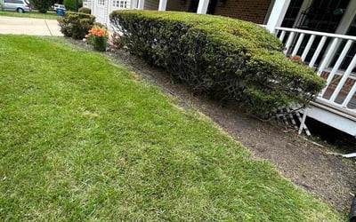 Photo of Sarah P.'s yard after getting landscaping in Springfield, VA