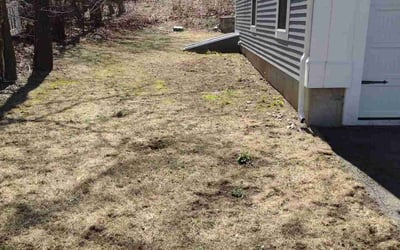 Photo of Kelvin D.'s yard after getting landscaping in Medway, MA