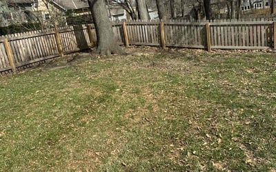 Photo of Richard R.'s yard after getting landscaping in Lenexa, KS