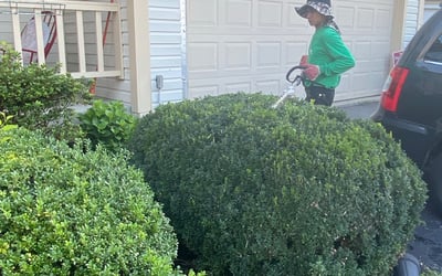Photo of James W.'s yard after getting landscaping in Ashton, MD
