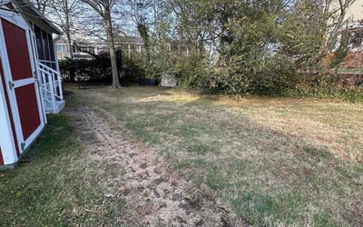 Photo of Michael C.'s yard after getting landscaping in Lovettsville, VA