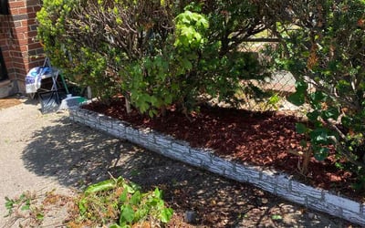 Photo of Ashley B.'s yard after getting landscaping in Belmar, NJ
