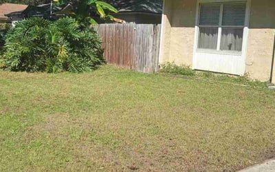 Photo of David K.'s yard after getting lawn care in Atlantic Beach, FL