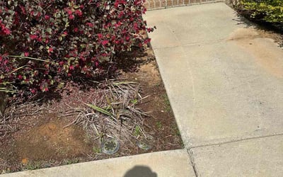 Photo of Justin D.'s yard after getting landscaping in Mc David, FL