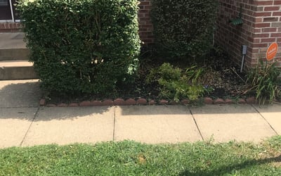 Photo of Keith H.'s yard after getting landscaping in Shepherdstown, WV