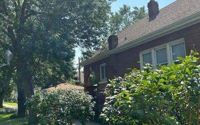 Photo of Elizabeth R.'s yard after getting landscaping in Mokena, IL