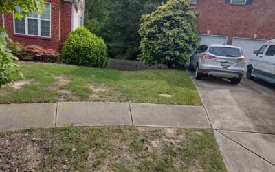 Photo of Sarah H.'s yard after getting landscaping in Norcross, GA