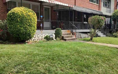 Photo of Moses M.'s yard after getting tree care in Lorton, VA