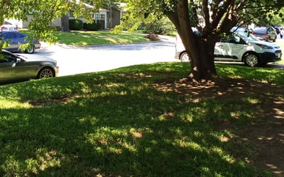 Photo of Mark G.'s yard after getting landscaping in Dennis, TX