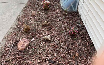 Photo of Garrett M.'s yard after getting landscaping in Kingman, KS