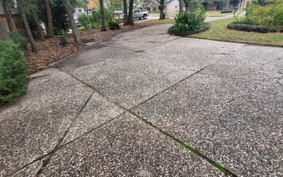 Photo of Heidi S.'s yard after getting landscaping in Kendleton, TX