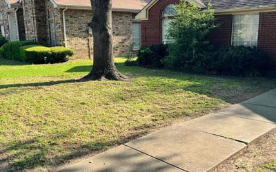 Photo of Dwight S.'s yard after getting landscaping in Cedar Hill, TX