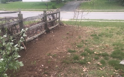 Photo of Julie A.'s yard after getting landscaping in Delta, OH
