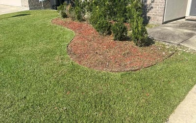 Photo of Richard B.'s yard after getting landscaping in Greenwell Springs, LA