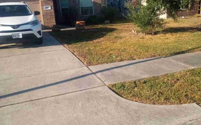 Photo of Mayra A.'s yard after getting tree care in Cypress, TX