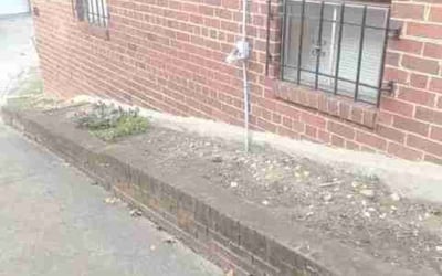 Photo of James D.'s yard after getting landscaping in Bel Alton, MD
