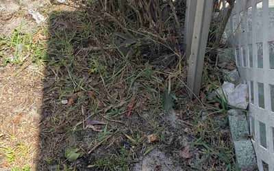 Photo of Margaret F.'s yard after getting landscaping in Bradenton, FL