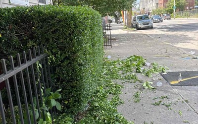 Photo of Christina A.'s yard after getting landscaping in Providence, RI