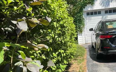 Photo of Jeff D.'s yard after getting landscaping in Dousman, WI